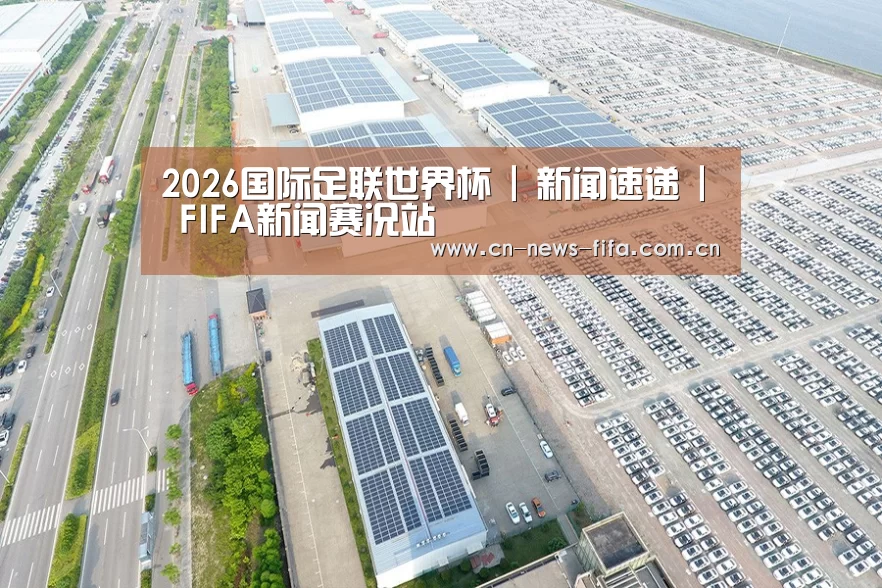 案例展示四