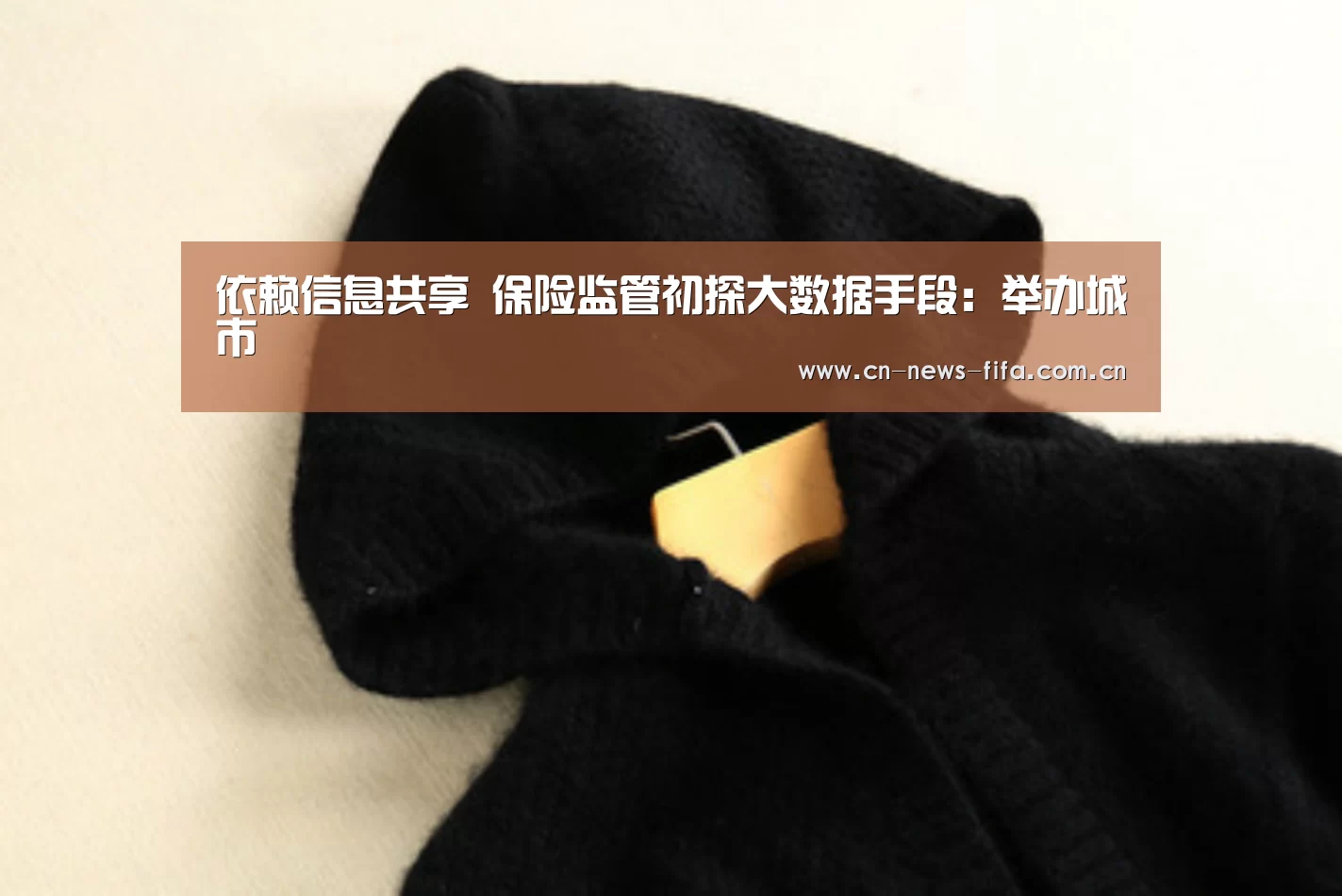 依赖信息共享 保险监管初探大数据手段:举办城市(图2) 举办城市
