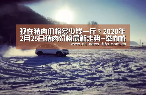 世界杯中文网