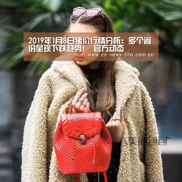 官方动态