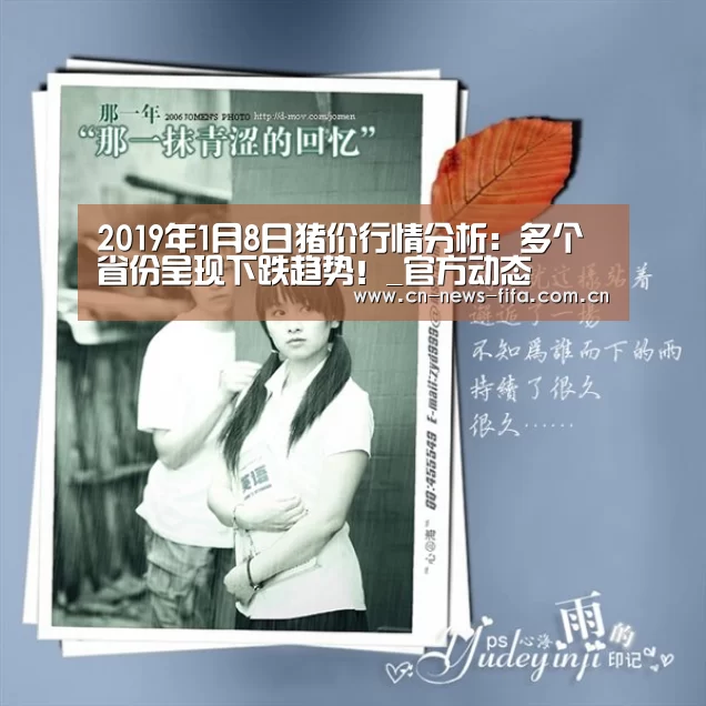 官方动态