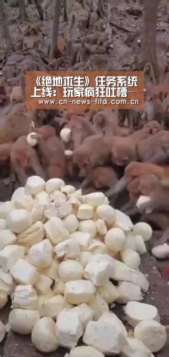 官方动态