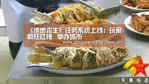 举办城市