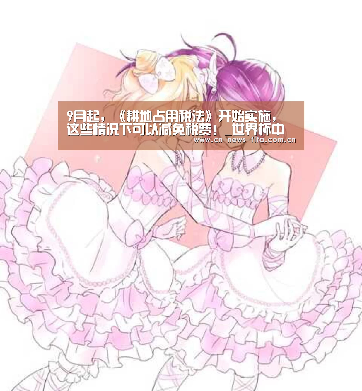 官方动态