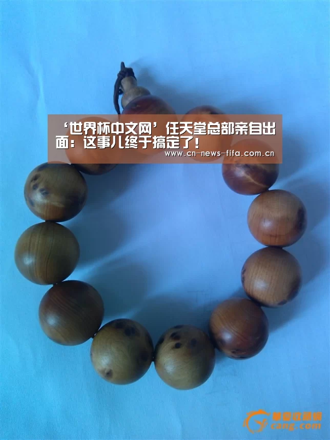 ‘世界杯中文网’任天堂总部亲自出面:这事儿终于搞定了!(图1) 举办城市